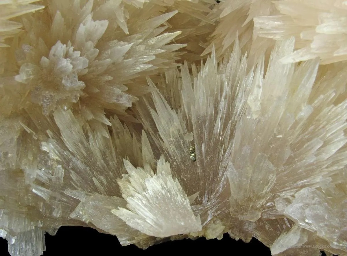 Strontianite With Fluorite and Calcite - image 5