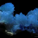 Strontianite With Fluorite and Calcite - image 7