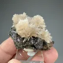 Strontianite with Sphalerite - image 2