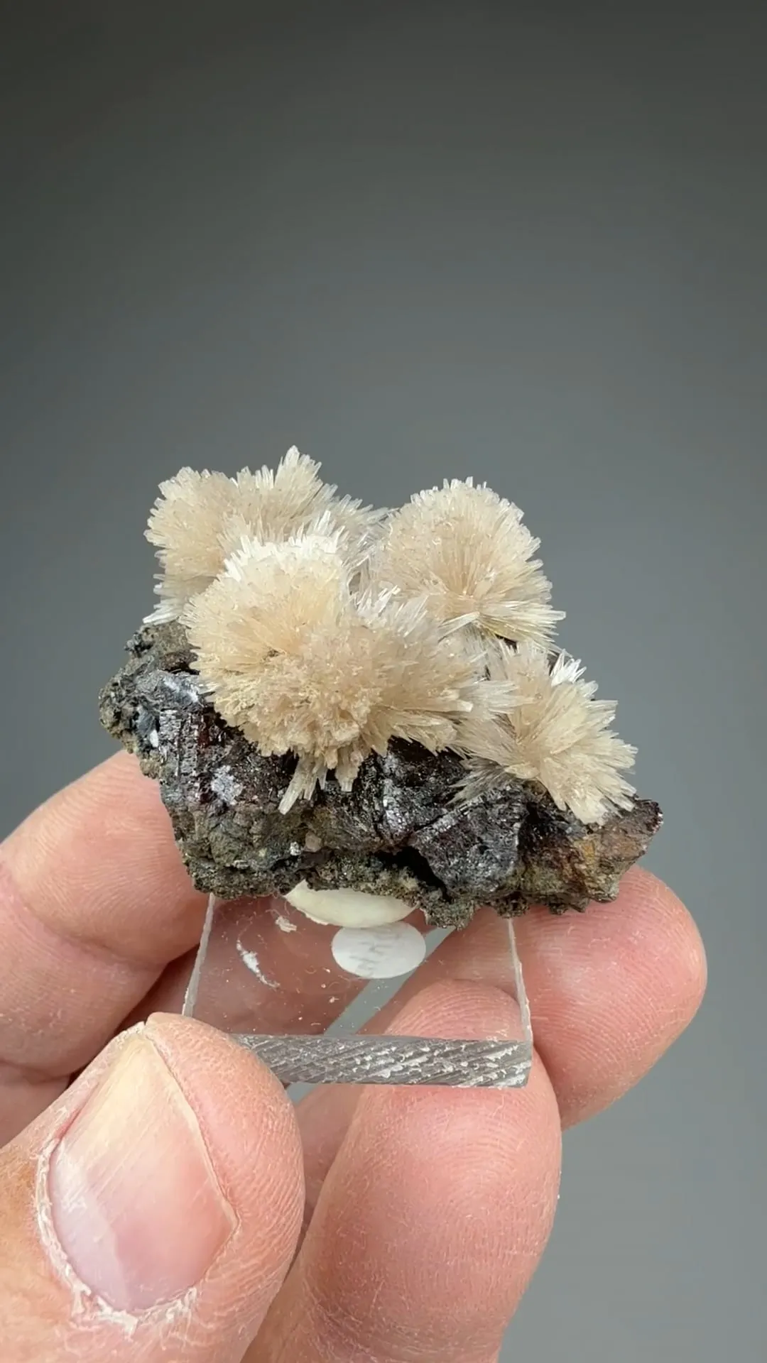 Strontianite with Sphalerite - image 2