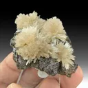 Strontianite with Sphalerite - image 1