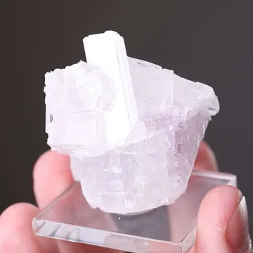 STRONTIOGINORITE with Gypsum var. Selenite