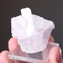 STRONTIOGINORITE with Gypsum var. Selenite - image 2