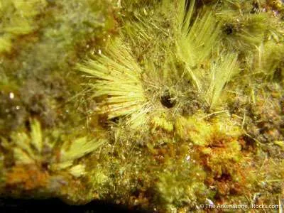 Studtite on Uranophane - image 1