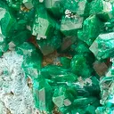 Stunner Dioptase and Chrysocolla combo from DRC - image 2