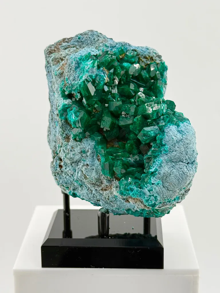 Stunner Dioptase and Chrysocolla combo from DRC - image 4