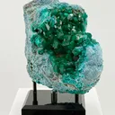 Stunner Dioptase and Chrysocolla combo from DRC - image 4
