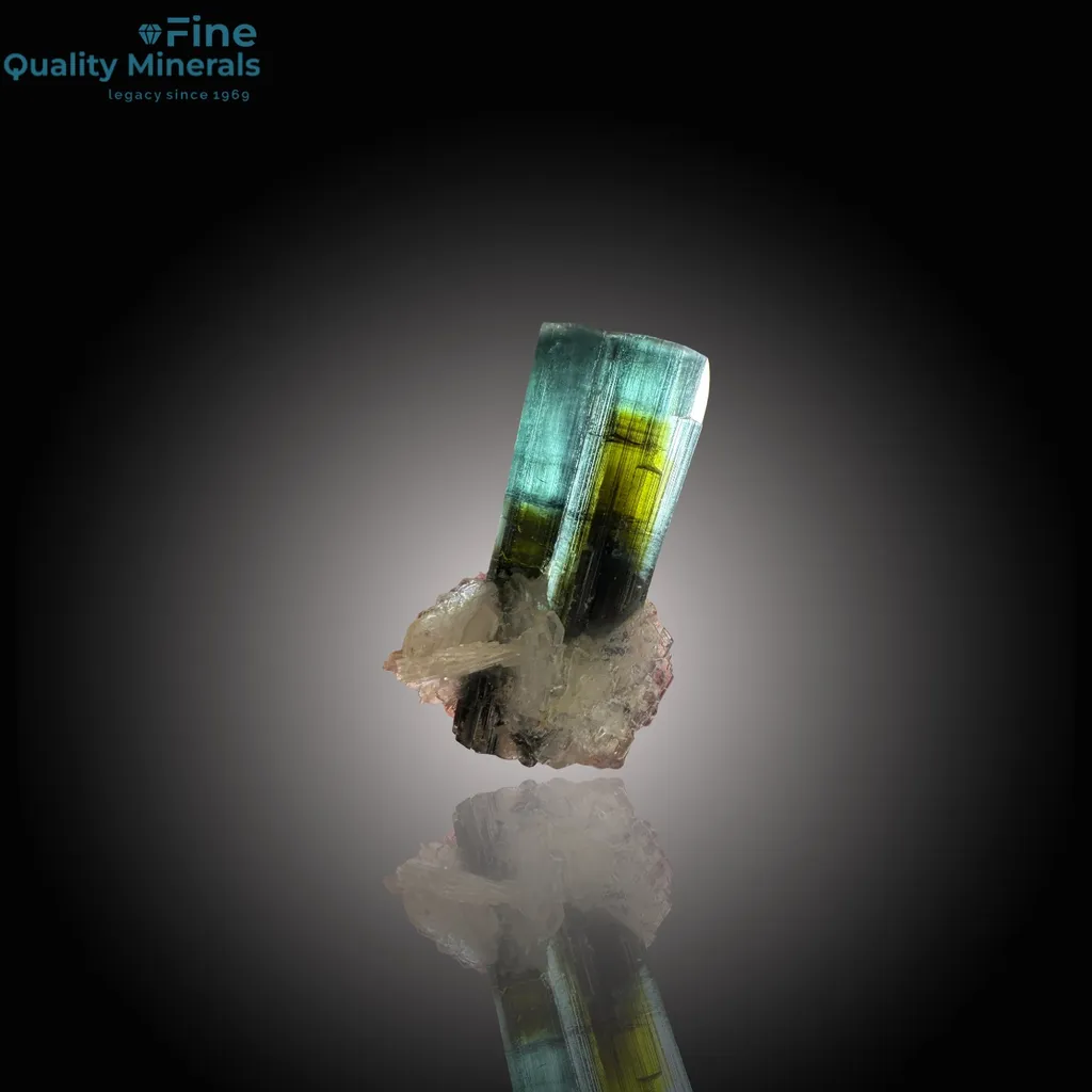 Stunning Bi-Color Tourmaline – A Vibrant Skardu Gem image