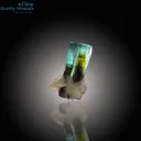 Stunning Bi-Color Tourmaline – A Vibrant Skardu Gem - image 1