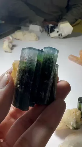 specimen video