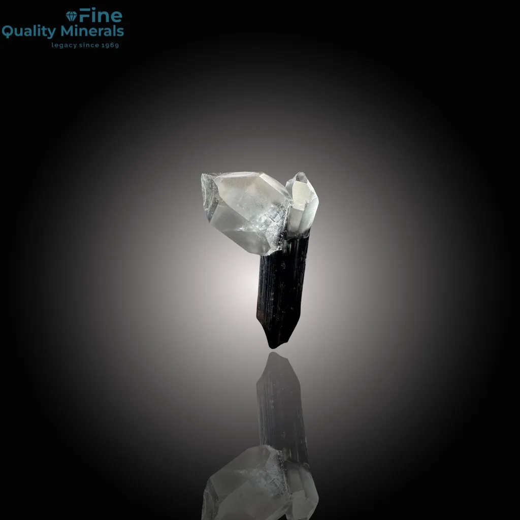 Stunning Diamond Quartz on Green Cap Tourmaline image