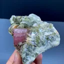 specimen video