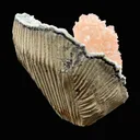 Stunning Pink Heulandite on Chalcedony Matrix – Rare Indian Zeolite Crystal Specimen from Jalgaon DK11 - image 3