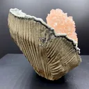 Stunning Pink Heulandite on Chalcedony Matrix – Rare Indian Zeolite Crystal Specimen from Jalgaon DK11 - image 3