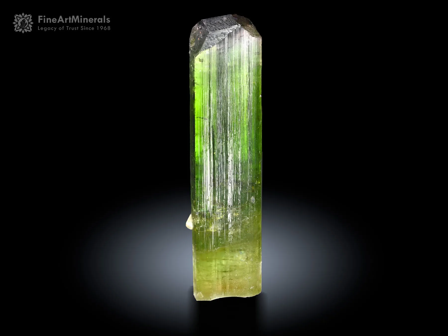 Stunning Tourmaline Crystal from Paprok Afghanistan - image 1