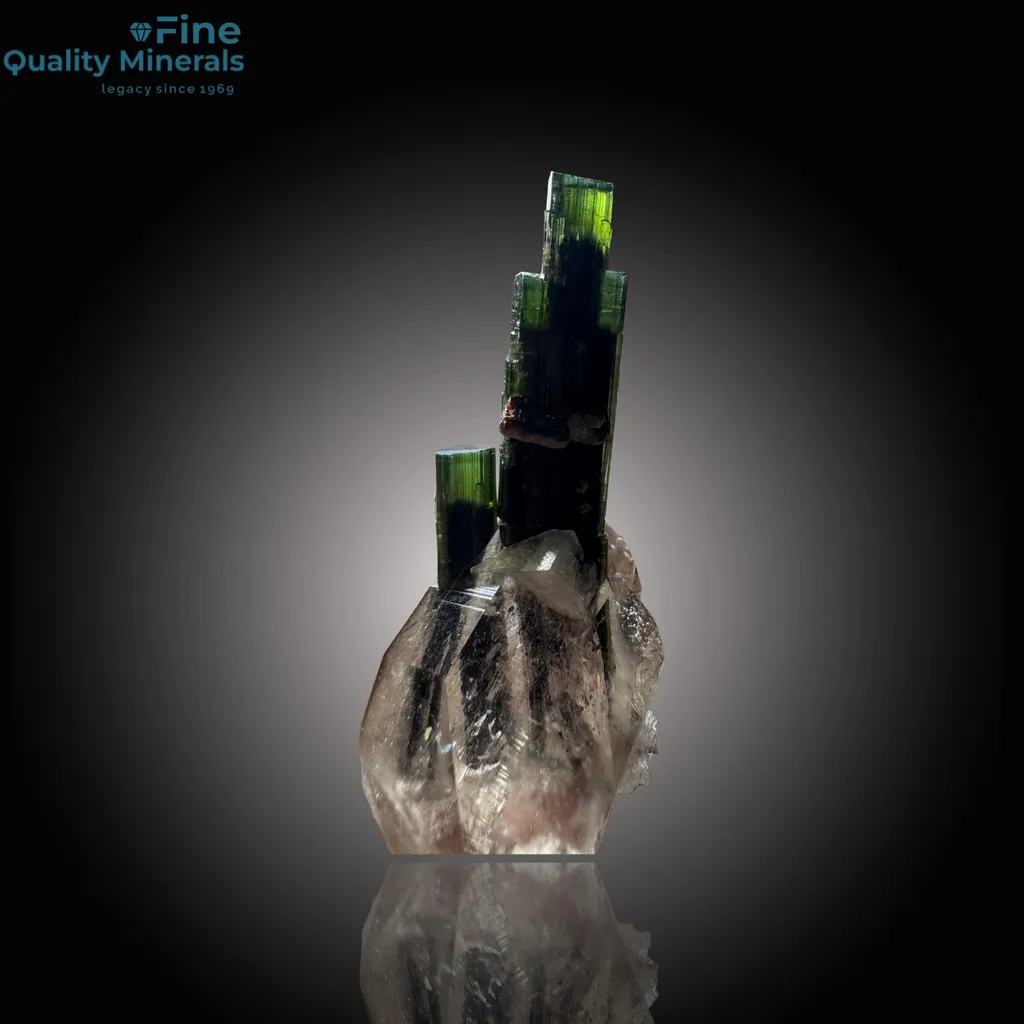 Stunning Tourmaline on Diamond Quartz image