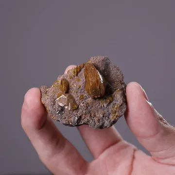 Sturmanite