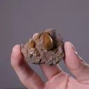 Sturmanite - image 2