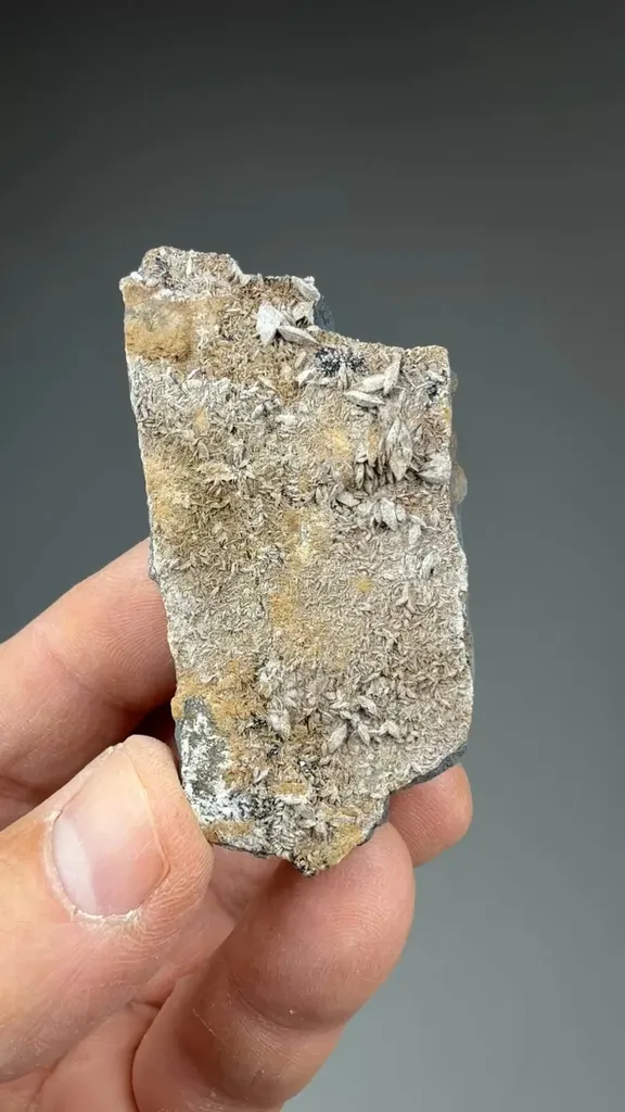 Sturmanite - image 2