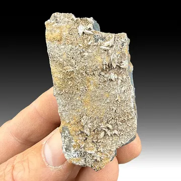 Sturmanite