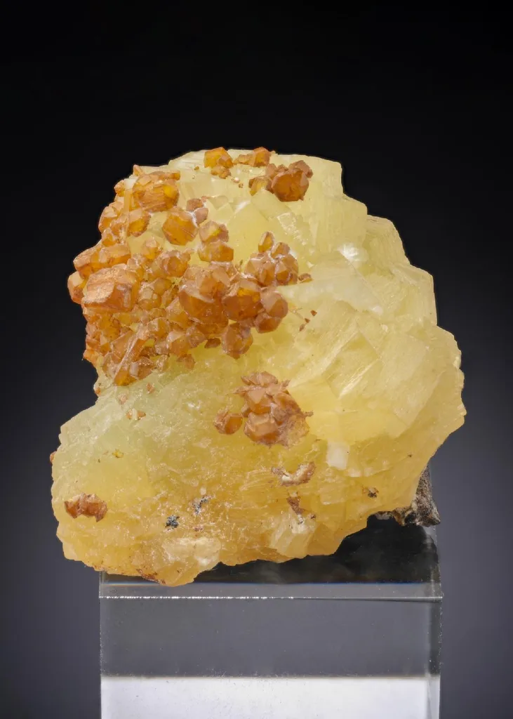 Sturmanite image
