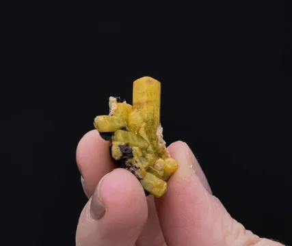 Sturmanite with Gaudefroyite