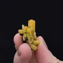 Sturmanite with Gaudefroyite - image 2