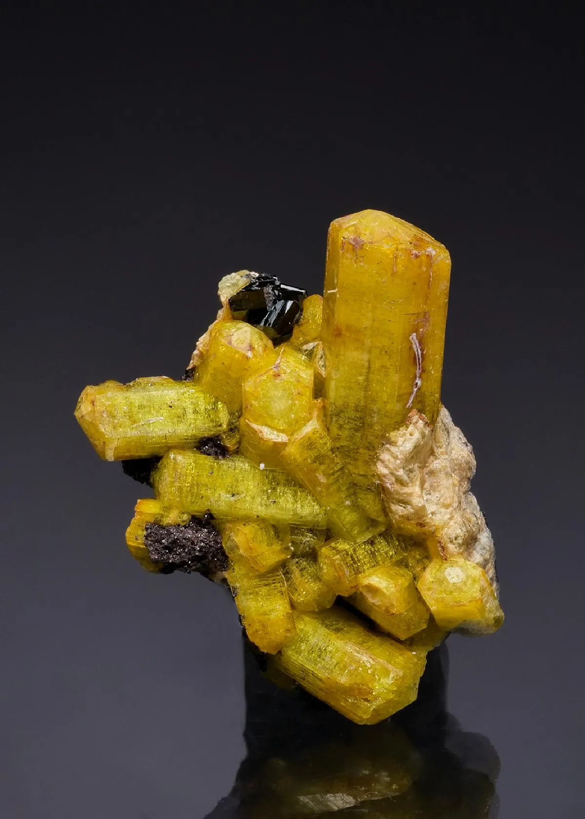 Sturmanite with Gaudefroyite - image 1