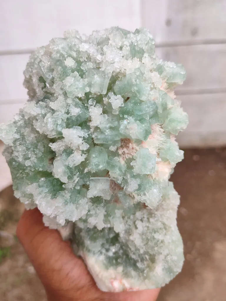 Sugar Green Apophyllite on Mordenite Natural Mineral specimen - image 3