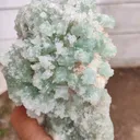 Sugar Green Apophyllite on Mordenite Natural Mineral specimen - image 3