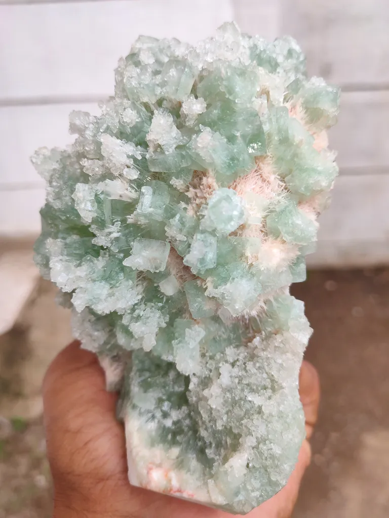 Sugar Green Apophyllite on Mordenite Natural Mineral specimen - image 2