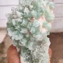 Sugar Green Apophyllite on Mordenite Natural Mineral specimen - image 2