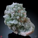 Sugar Green Apophyllite on Mordenite Natural Mineral specimen - image 1