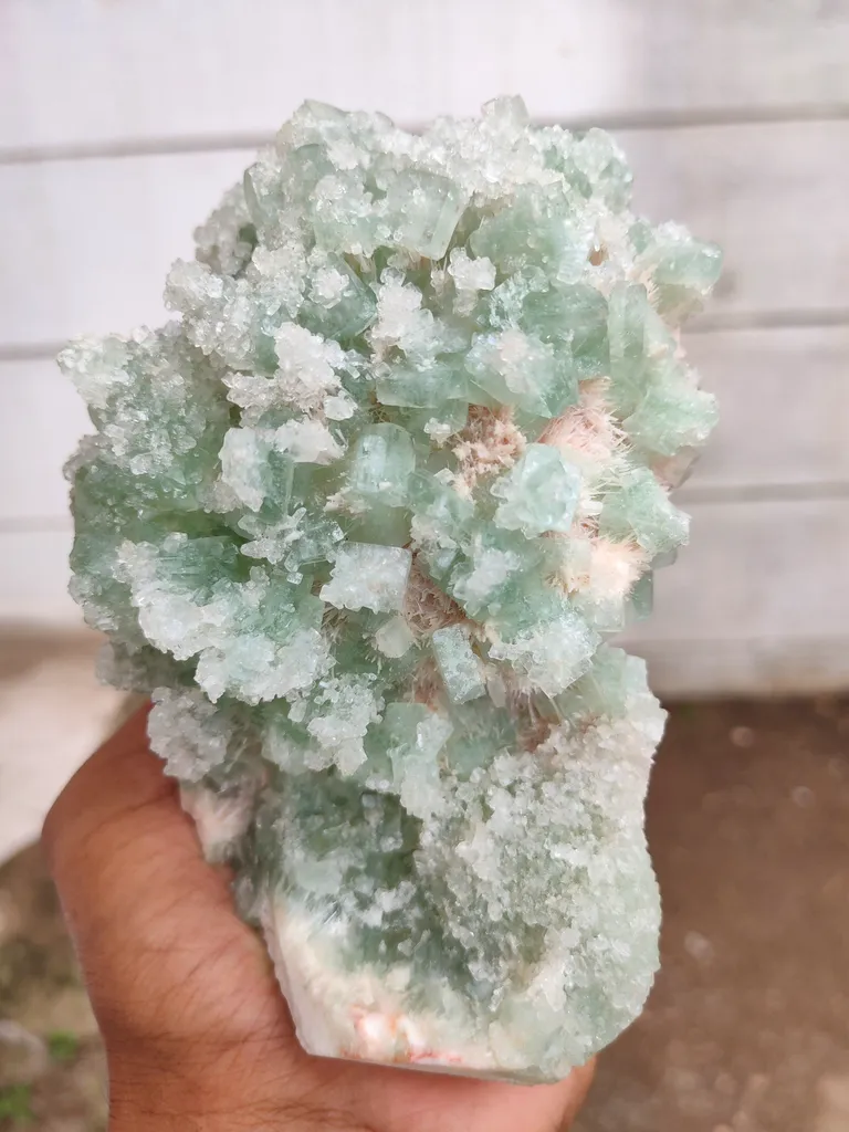 Sugar Green Apophyllite on Mordenite Natural Mineral specimen - image 5