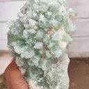 Sugar Green Apophyllite on Mordenite Natural Mineral specimen - image 5