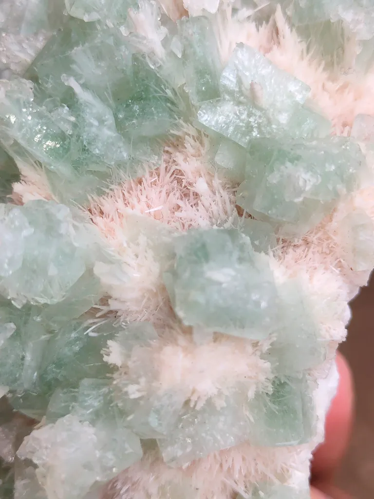 Sugar Green Apophyllite on Mordenite Natural Mineral specimen - image 6