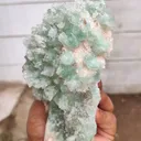 Sugar Green Apophyllite on Mordenite Natural Mineral specimen - image 4