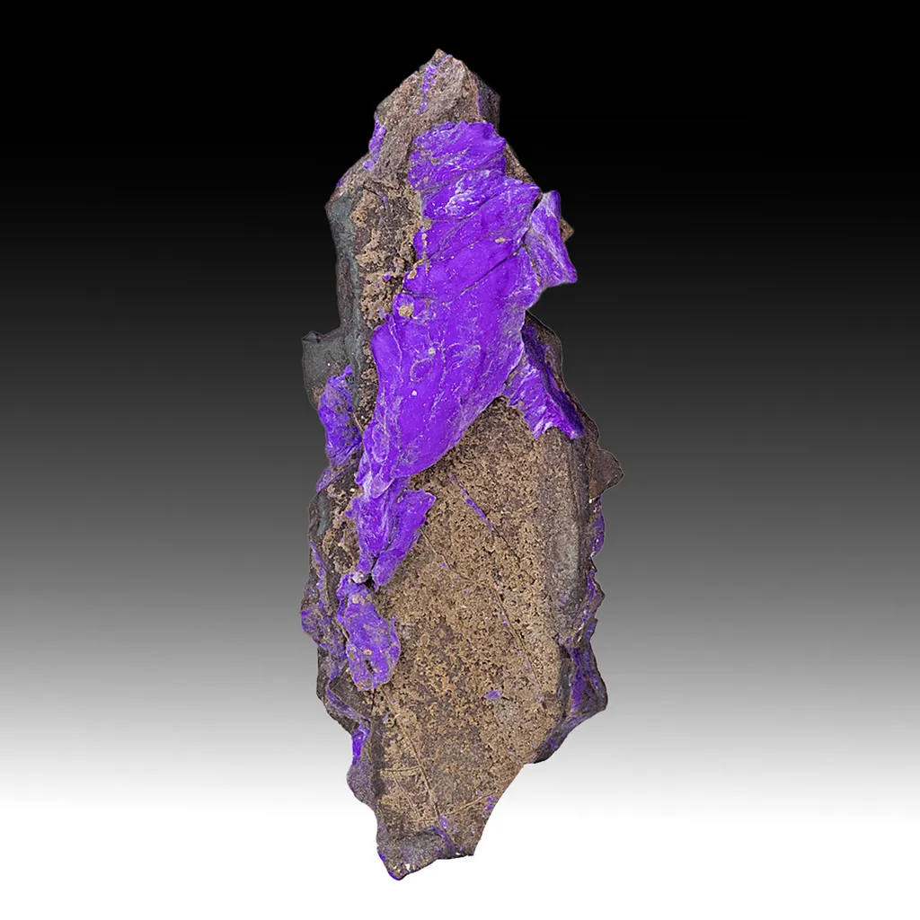 Sugilite image