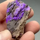 Sugilite from N'Chwaning III Mine, N'Chwaning Mines, Northern Cape, South Africa - image 2