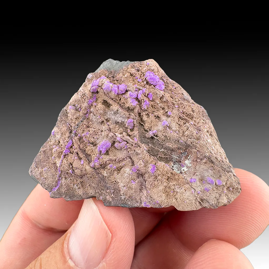 Sugilite from Wessels Mine, Northern Cape, South Africa image