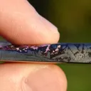 Sugilite & Hematite 48 grams - Wessels Mine, North Cape Province, South Africa - image 5