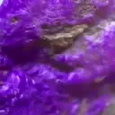 Sugilite is a purple, pink, or occasionally colorless mineral with a… - image 3