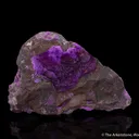 Sugilite on Matrix - image 1