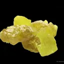 Sulfur (2 Generations) - image 3