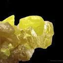 Sulfur (2 Generations) - image 2