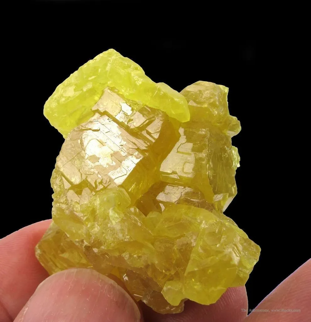 Sulfur (2 Generations) - image 5