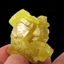Sulfur (2 Generations) - image 5