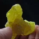 Sulfur (2 Generations) - image 4