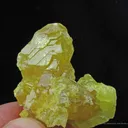 Sulfur (2 Generations) - image 1