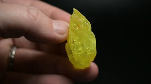 specimen video